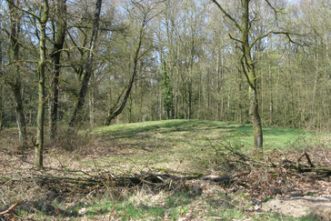 Grafheuvelveld Landgoed Boschveld