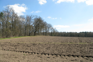 Glooiing velden Boschveld