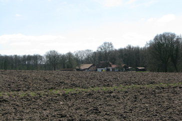 Glooiing velden Boschveld
