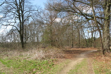 Houtwal als scheiding