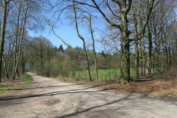 Landerijen Landgoed Boschveld