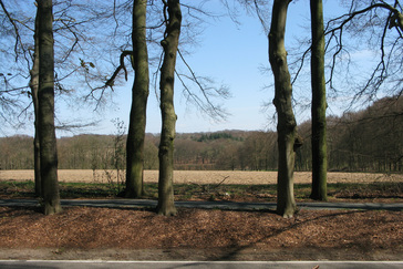 Zicht op Groene Bedstee