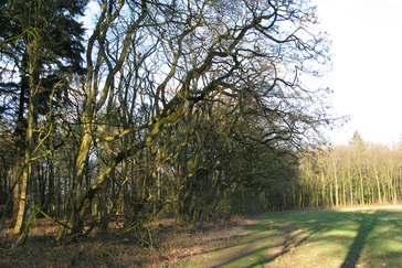 Akkerranden