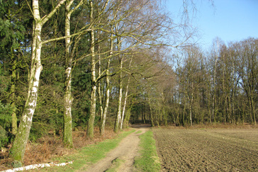 Glooiend landschap Hoog Oorsprong