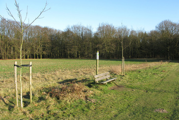 Klimaatbomen Nuon