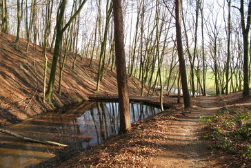 Vijvers barokke as