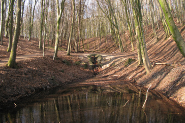Vijvers barokke as