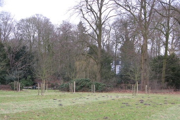 Boomgaard bij de Hemelseberg