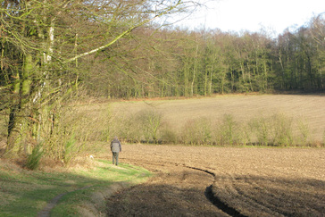 Zuidhelling Heveadorp