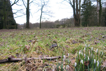 Uitzicht Laag Oorsprong