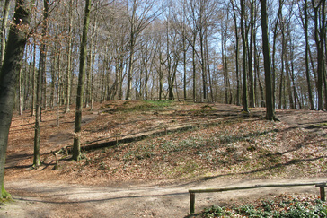 Barokke tuin Landgoed Mariëndaal