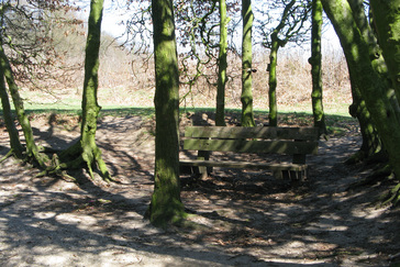 Splitsing in de berceau