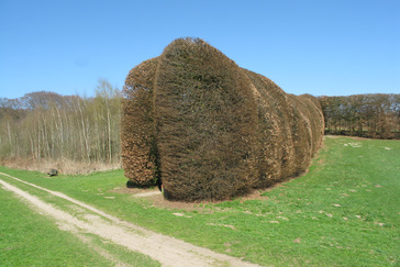 Groene Bedstee