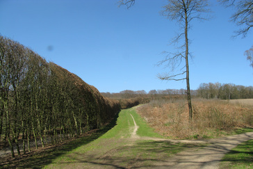 Zuidzijde berceau
