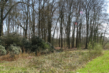 Herstel beekloop