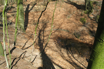 Sprengkop Beek Mariëndaal