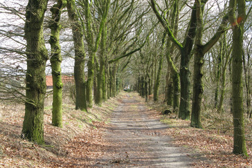 Eikenlanen Noordberg