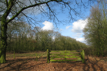 Kleinschalige ontginningen