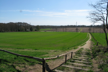 Uitzicht over Mariëndaal