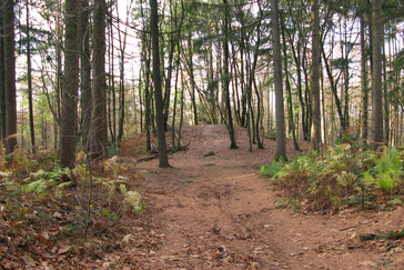 Belvedère