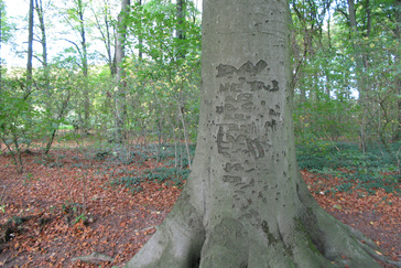 Inscripties op bomen
