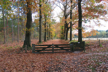 Afrastering voor begrazing Afrastering voor begrazing