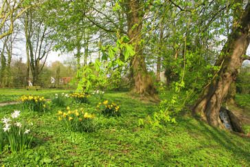 Vijvers in Park Dennenoord