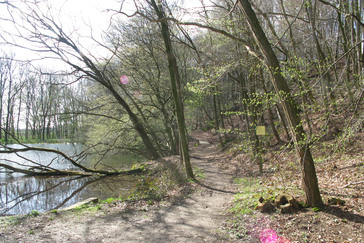 Duivelskolk