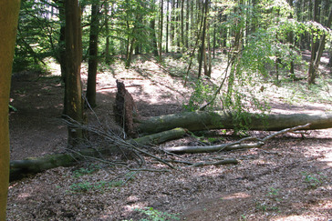 Droogdal