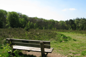 Heideveld Bilderberg