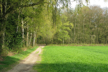 Glooiend landschap Hoog Oorsprong