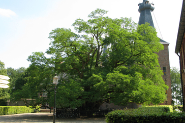Binnenplaats Kasteel Doorwerth