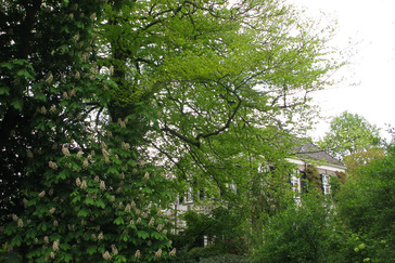 De oude pastorie