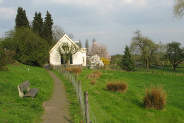 Kwel in de uiterwaarden