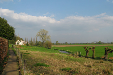 Kwel in de uiterwaarden Kwel in de uiterwaarden