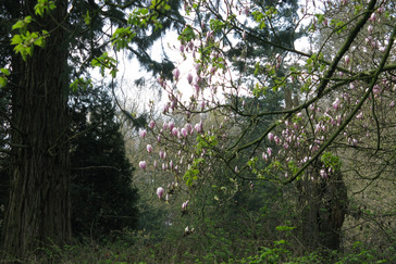 Laag Oorsprong- tuin restanten