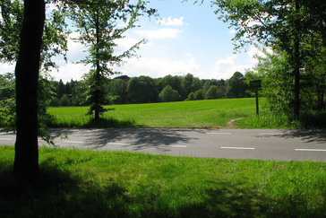 Slagveld De Bilderberg