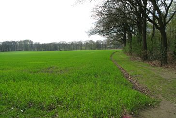 Uitzicht over de velden