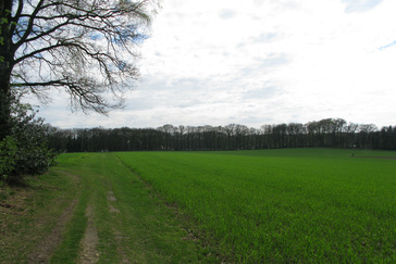Uitzicht over de velden