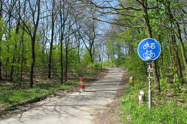 Snelweg A50