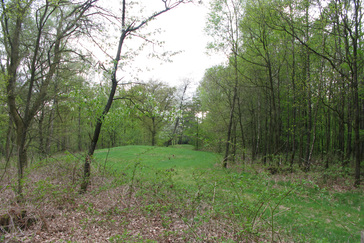 Grafheuvelveld Landgoed Boschveld