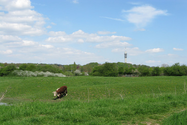 Televisie toren