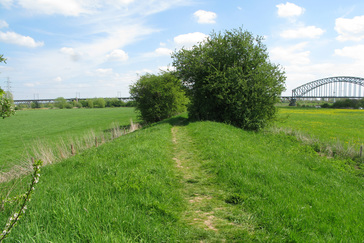 Zomerdijk