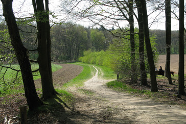 Houtwal Heveadorp