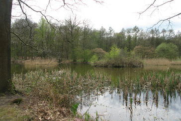 Uitzicht over de Grote Vijver