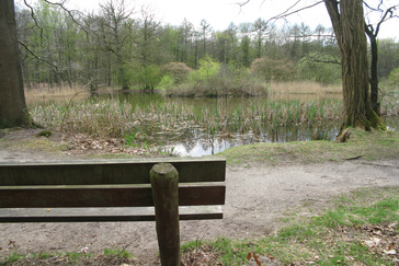 Uitzicht over de Grote Vijver