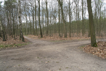 Bossen Landgoed Vijverberg