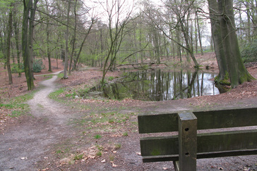 Uitzicht over de Vijver