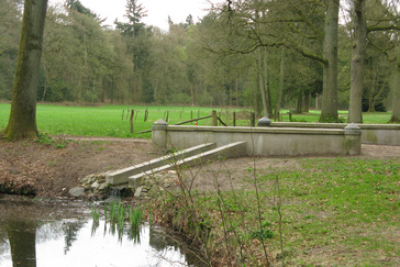 Bruggetje bij de vijver