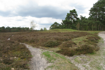 Grafheuvel